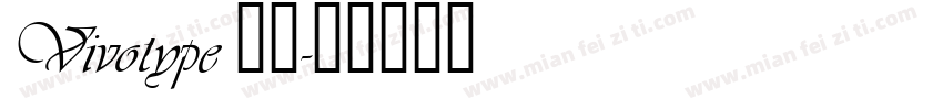 Vivotype 普通字体转换